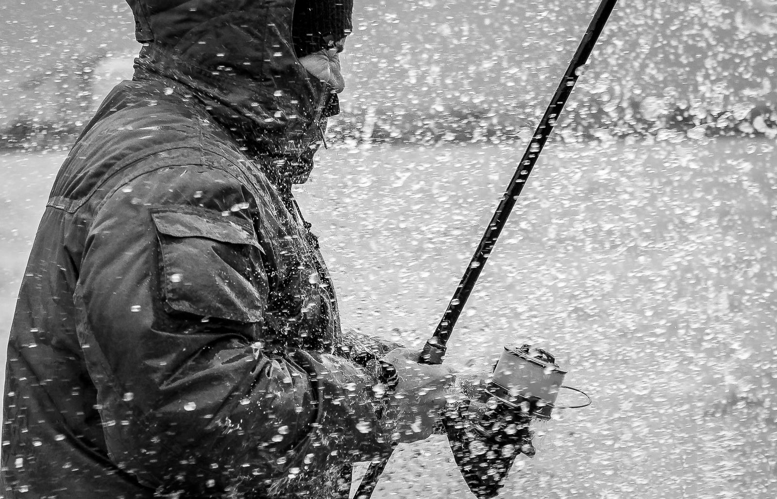 Ce se intampla cu permisele de pescuit recreativ in 2019?